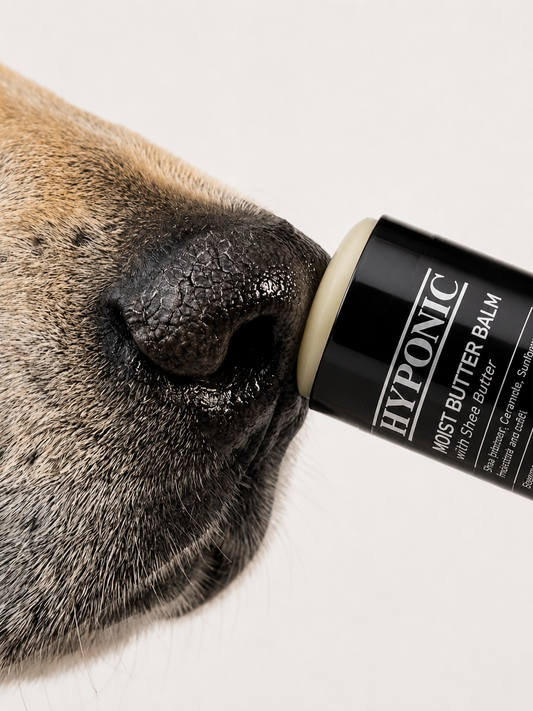 HYPONIC Moist Butter Balm 15g
