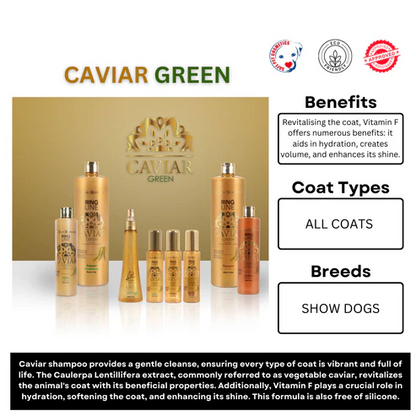 Caviar Green RING LINE SHAMPOO - Fetch Grooming Supplies