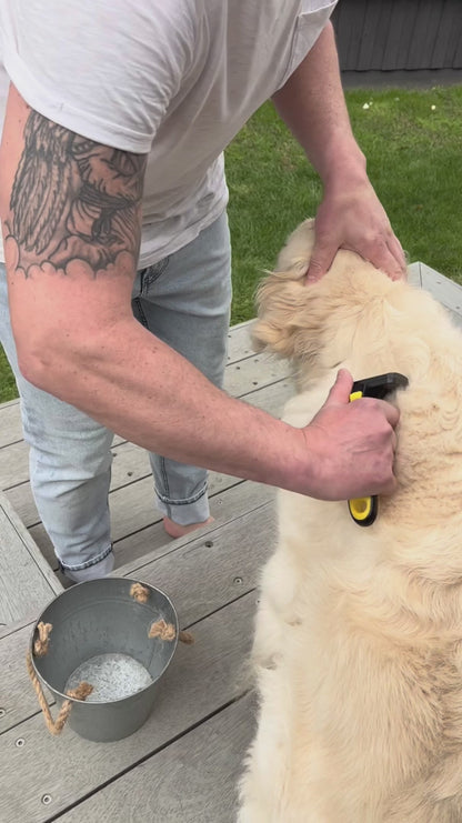 Refuresh Long Hair Gentle Deshedding Brush