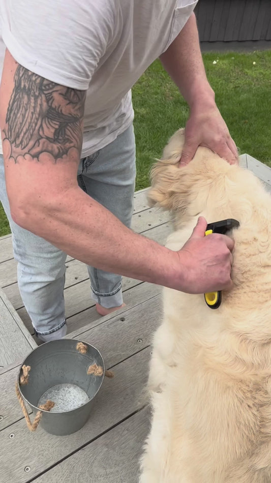 Refuresh Long Hair Gentle Deshedding Brush